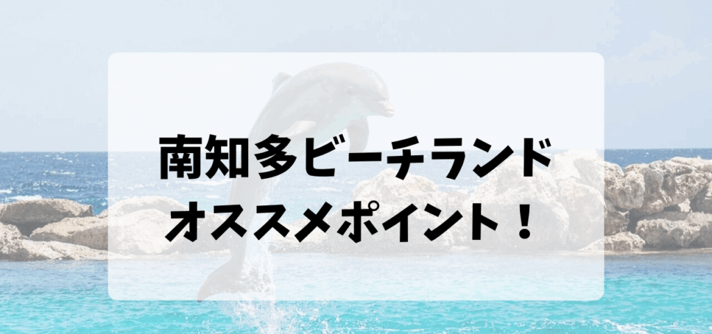 イルカが１頭がジャンプしている