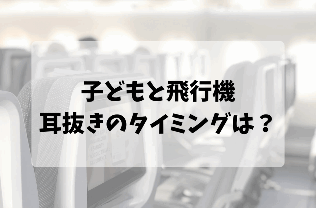 飛行機、座席の写真