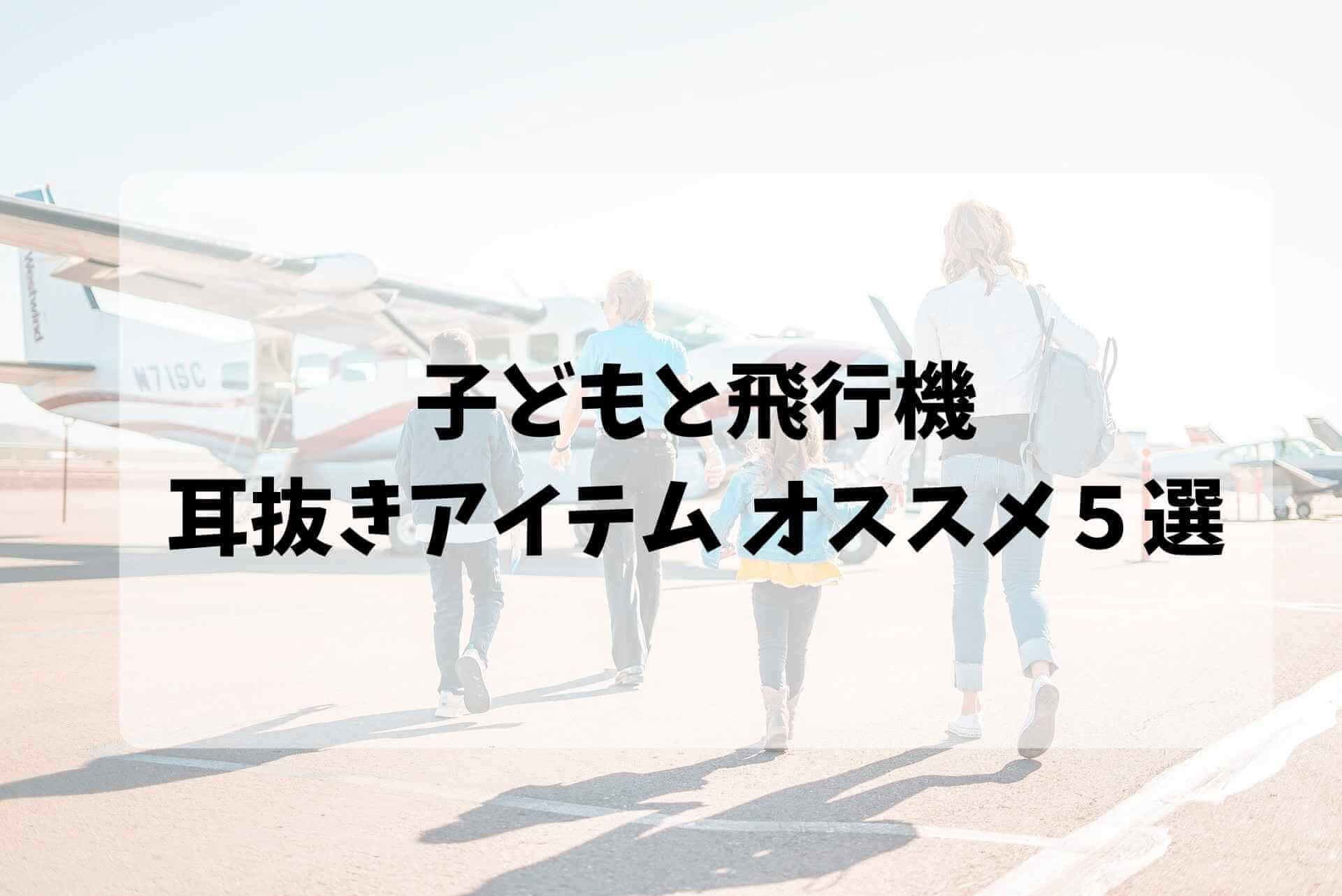 家族がセスナに向かってあるく様子