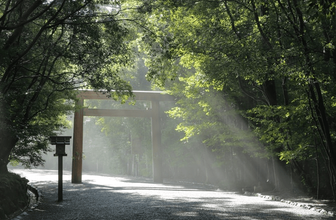 伊勢神宮鳥居に光が差す様子