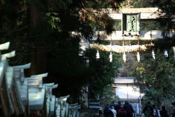 初詣神社写真