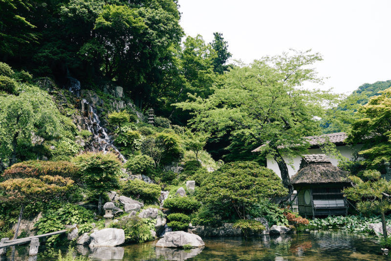 VIVANTの島根ロケ地の櫻井家庭園。池と刈り込まれた木、奥に建つ茅葺きの建物