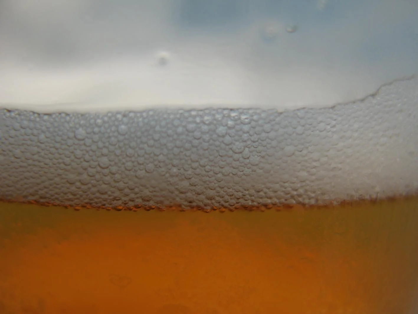VIVANTのビールのグラスに注いだビールの雰囲気