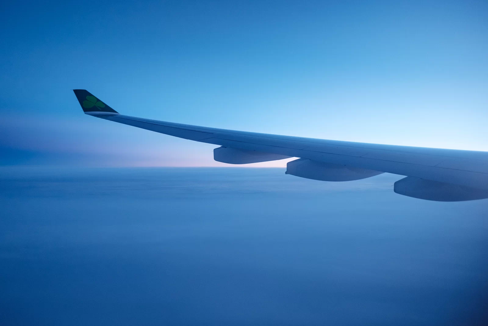 VIVANT×JALの飛行機の窓から見える翼と雲